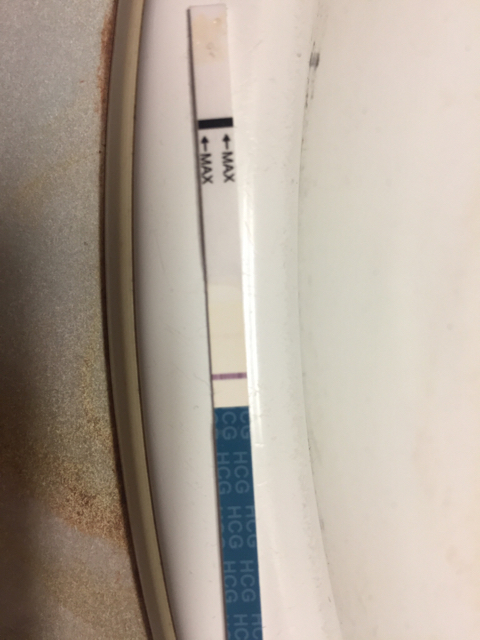 ImageUploadedByBV Forum1476716932.687883.jpg