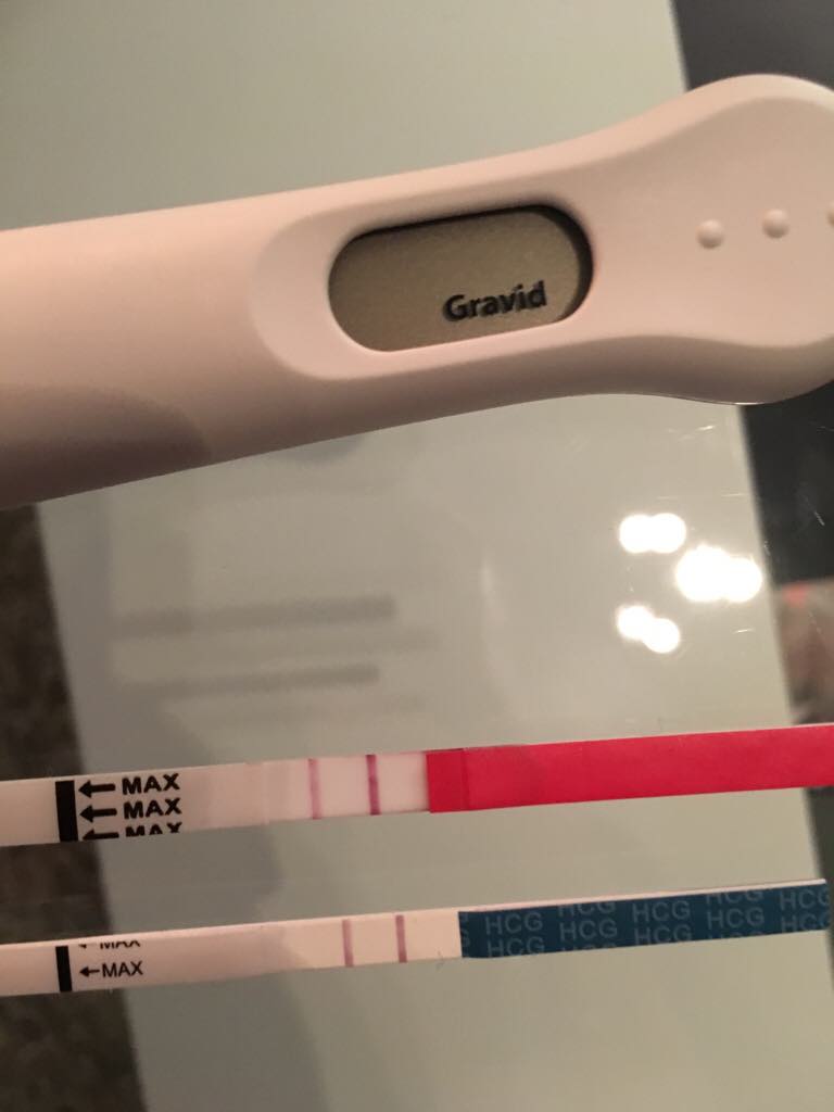 ImageUploadedByBV Forum1477088374.434168.jpg