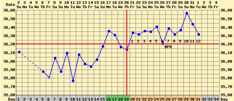 ImageUploadedByBV Forum1477991088.190115.jpg