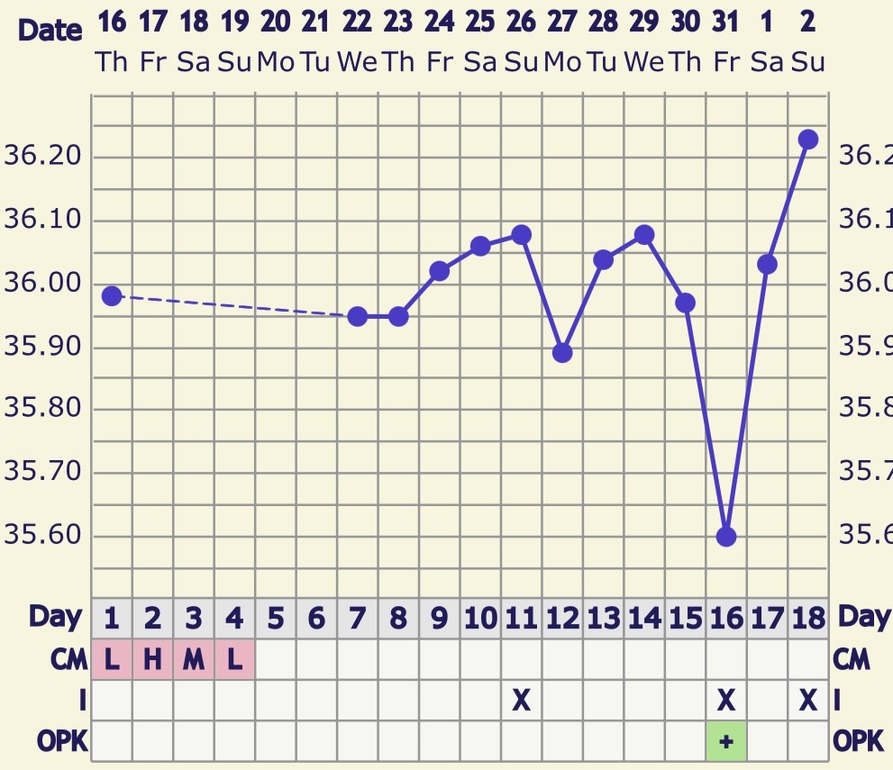 IMG_2193.jpeg