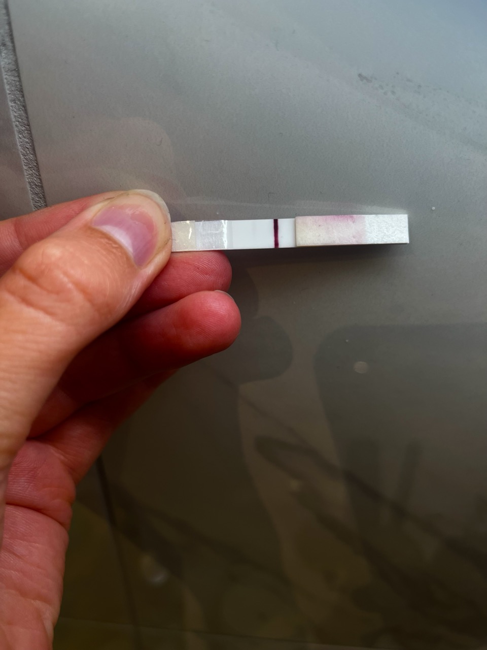 IMG_6072 2 – stort.jpeg