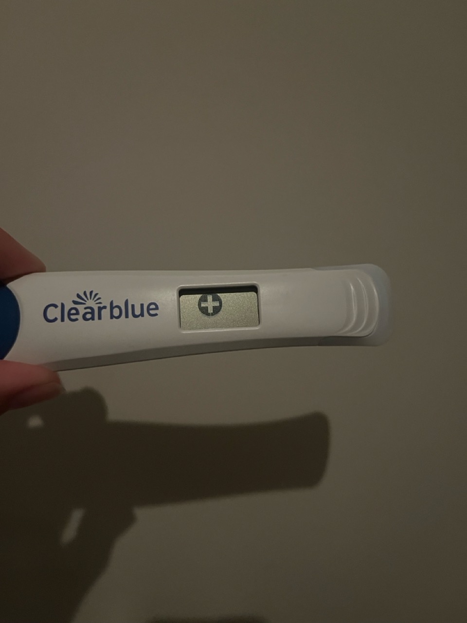 IMG_6074 – stort.jpeg