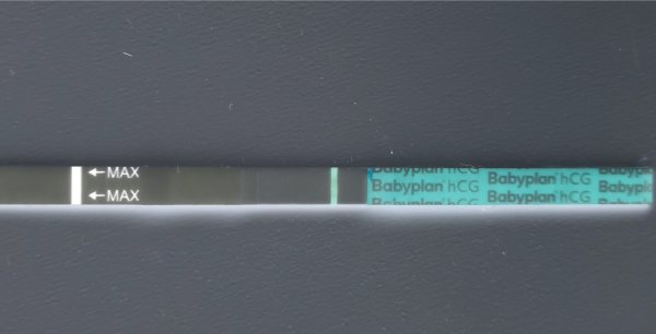 Negative Image_c5ab07e9-e3a5-40fa-a4cd-e4ddd5e62883.jpg