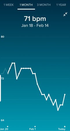 Screenshot_20210214-153614_Fitbit.jpg