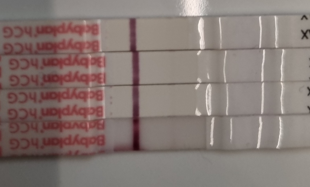 Screenshot_20210703-083317_Samsung Internet.jpg