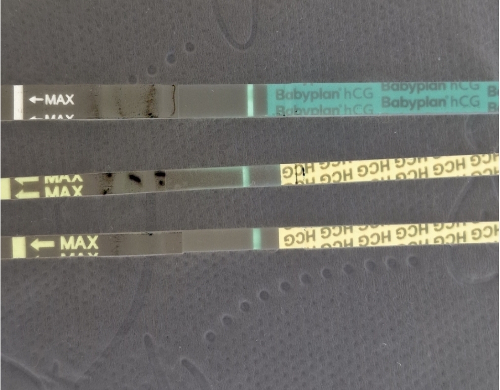 Screenshot_20230425_201537_Negative Image.jpg