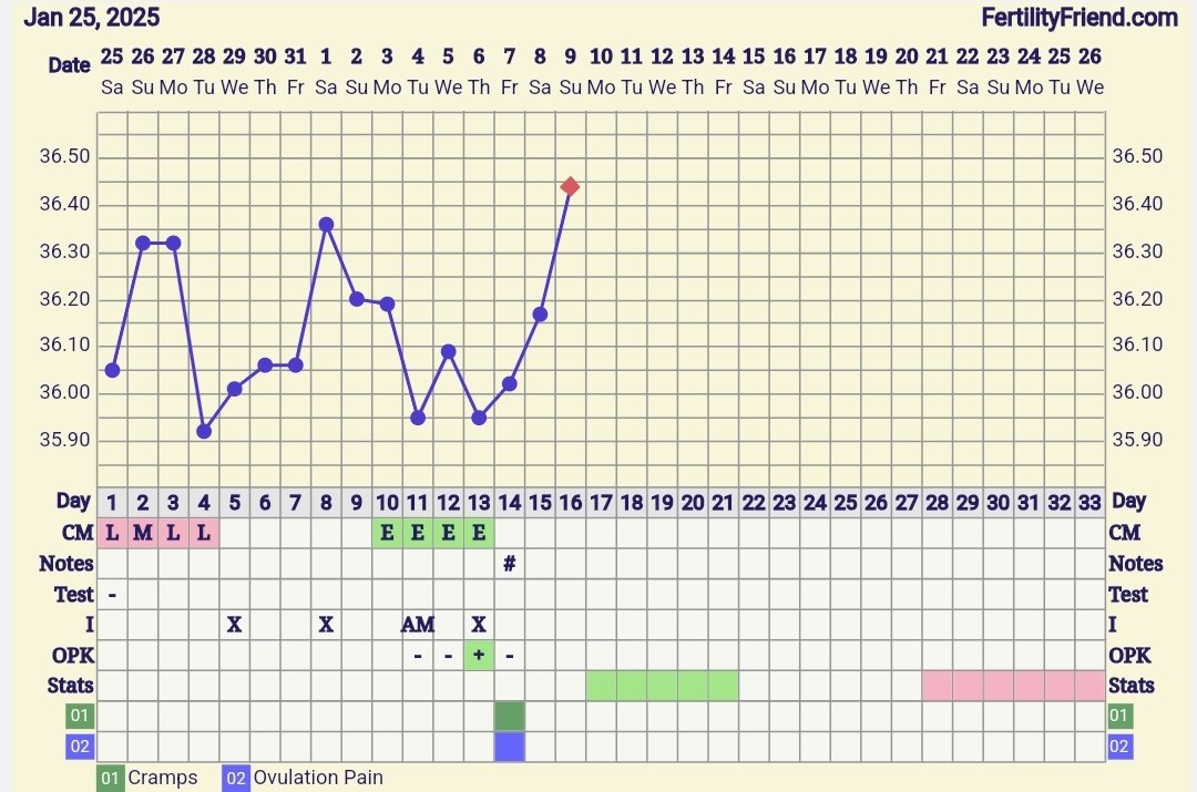 Screenshot_20250209_081357_FF App.jpg