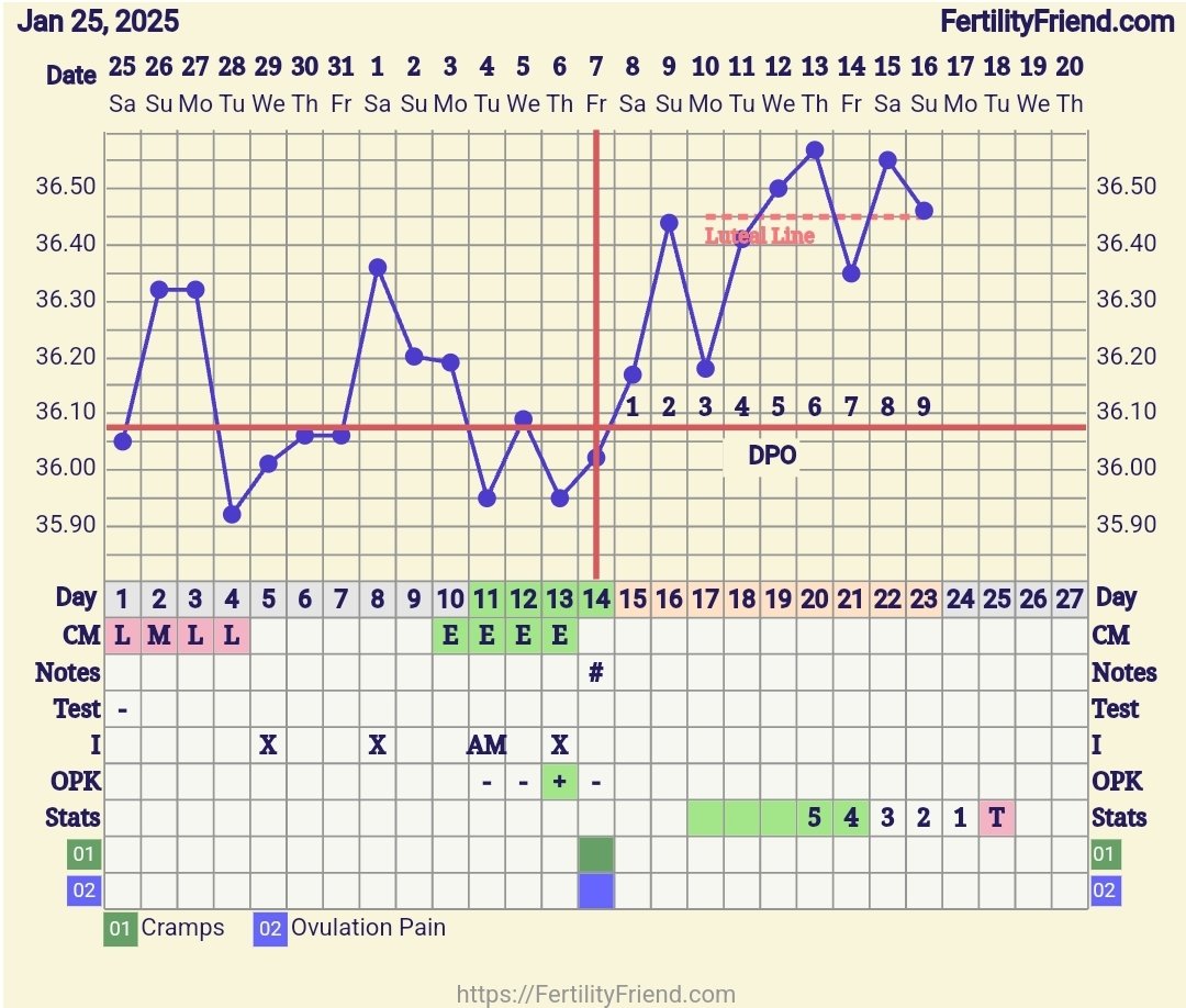 Screenshot_20250216_073323_FF App.jpg