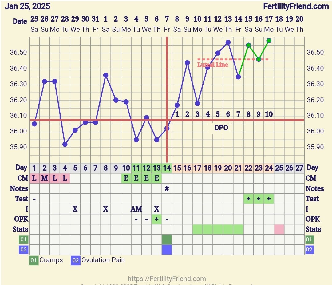 Screenshot_20250217_133834_FF App.jpg