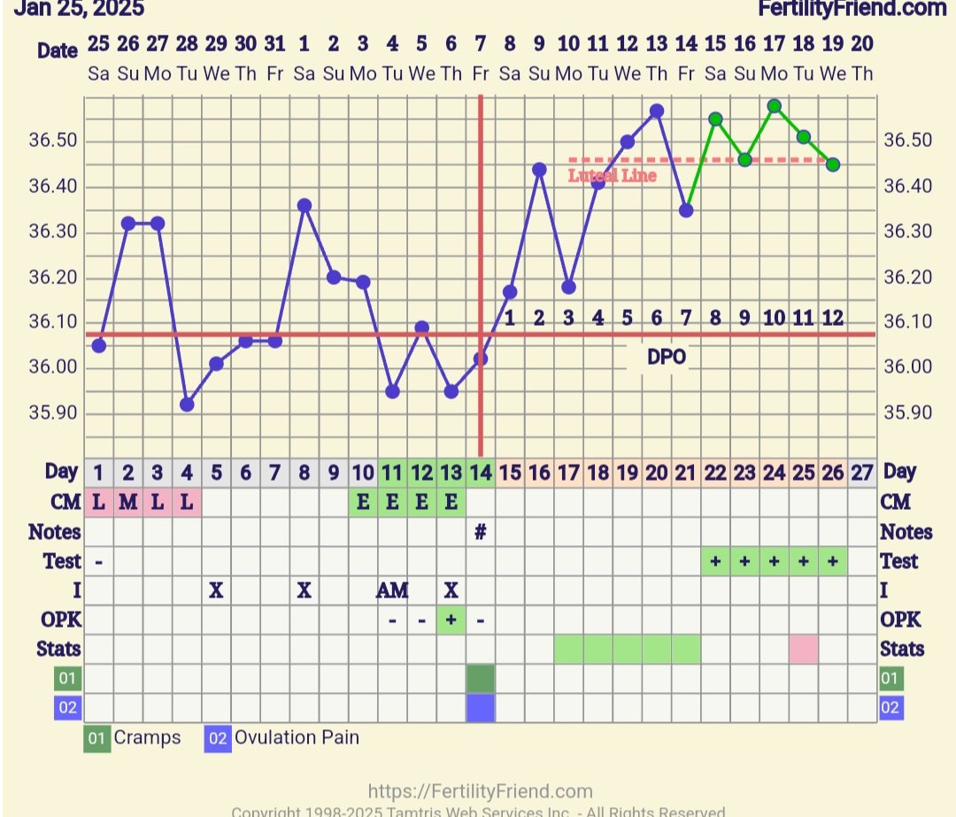 Screenshot_20250219_111415_FF App.jpg