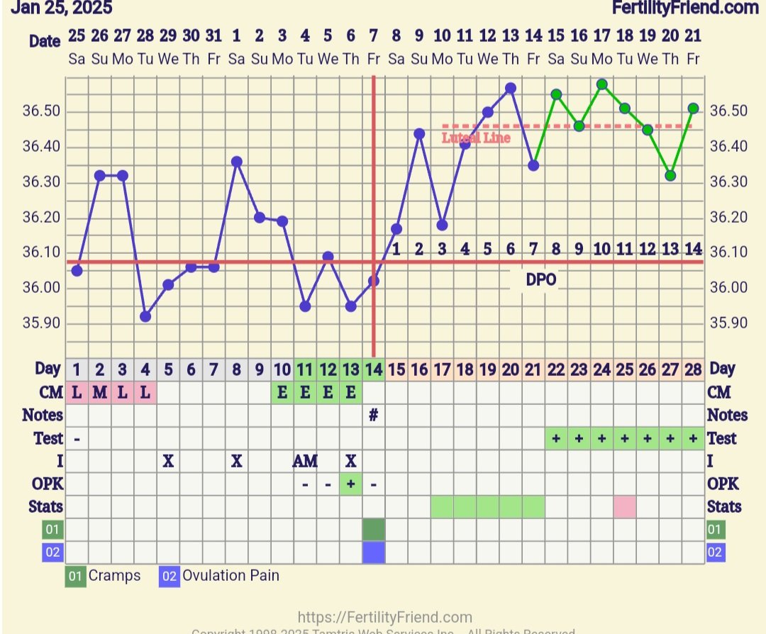 Screenshot_20250221_142730_FF App.jpg