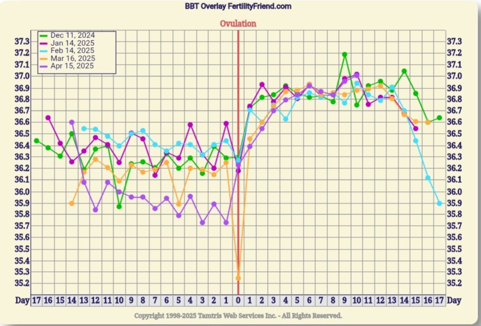 Screenshot_20250509_115350_FF App.jpg