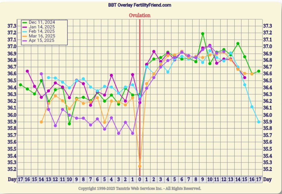 Screenshot_20250511_064338_FF App.jpg