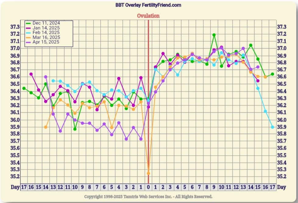 Screenshot_20250514_102153_FF App.jpg