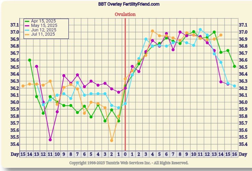 Screenshot_20250809_081413_FF App.jpg