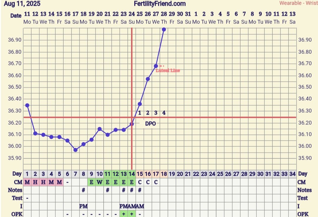 Screenshot_20250828_071354_FF App.jpg