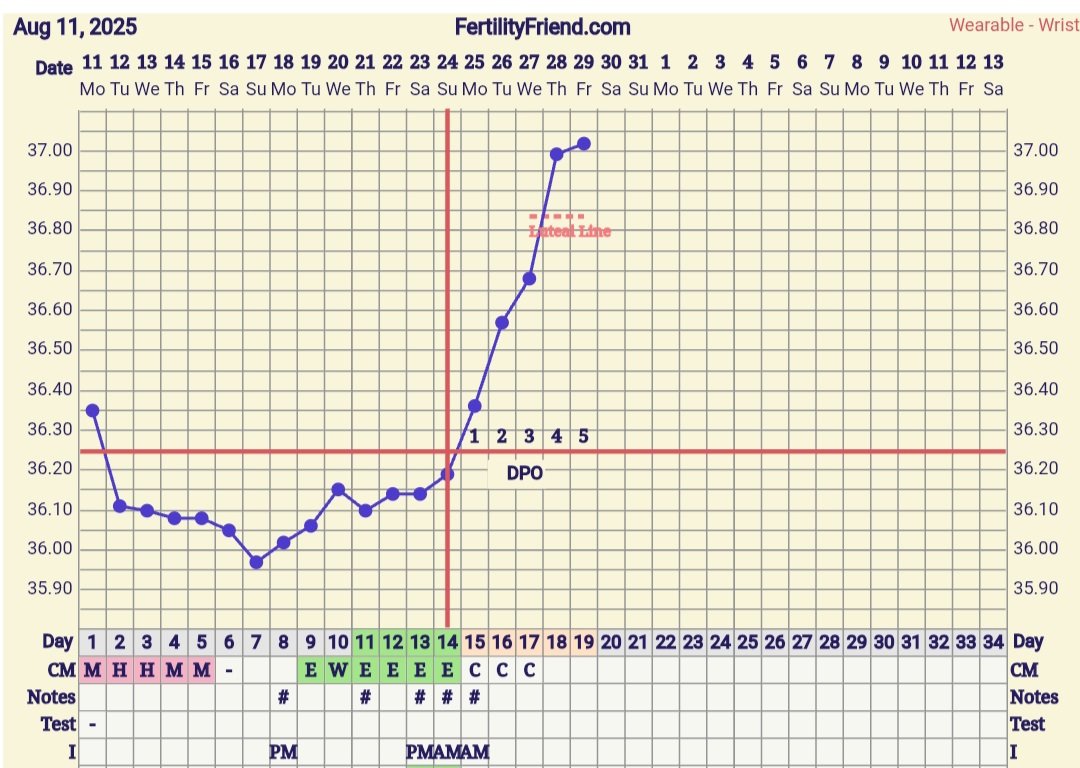 Screenshot_20250829_080548_FF App.jpg