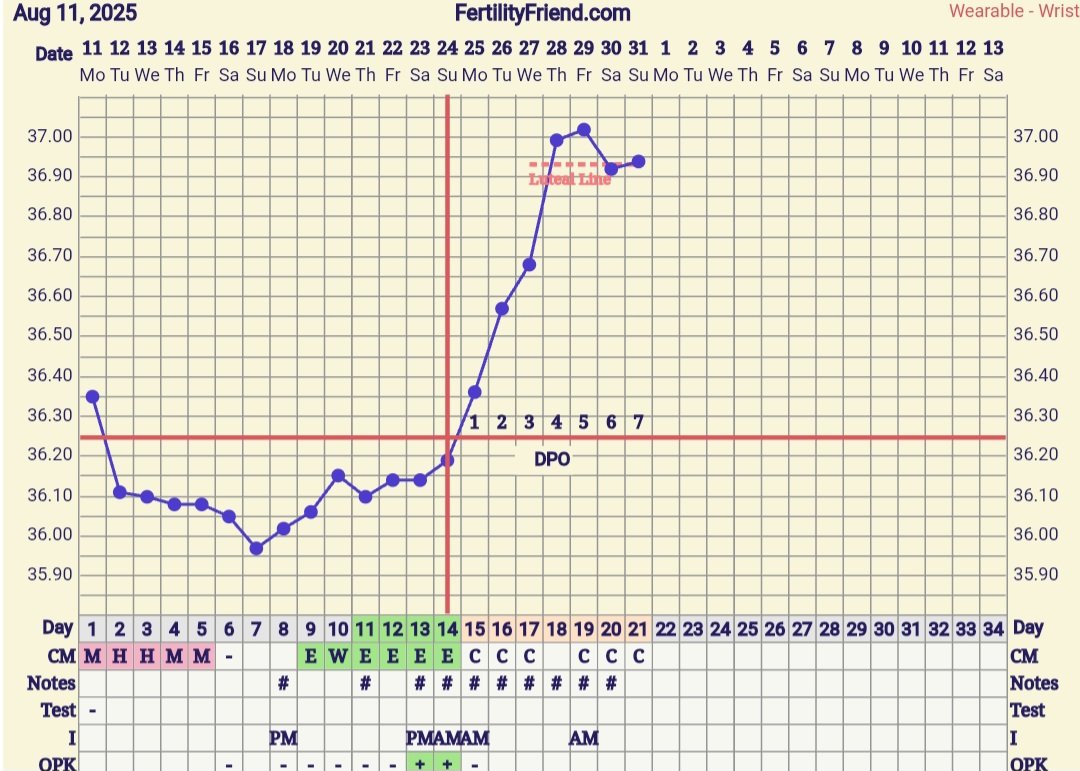 Screenshot_20250831_072418_FF App.jpg