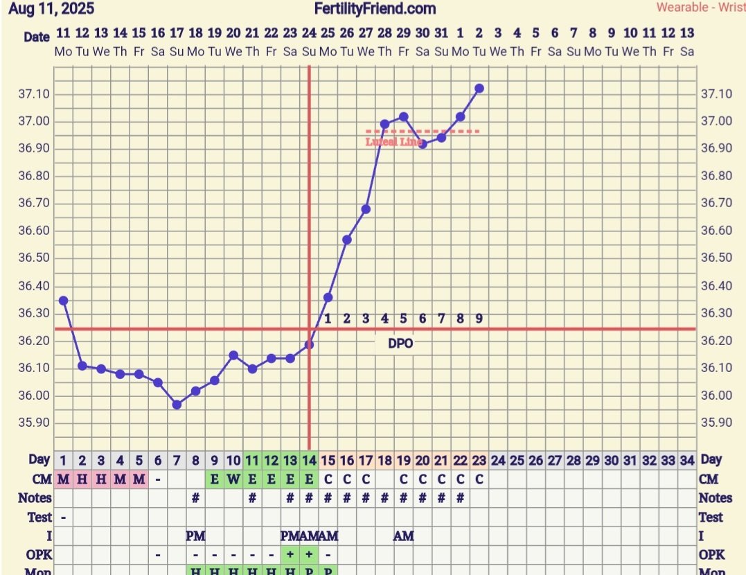 Screenshot_20250902_064145_FF App.jpg