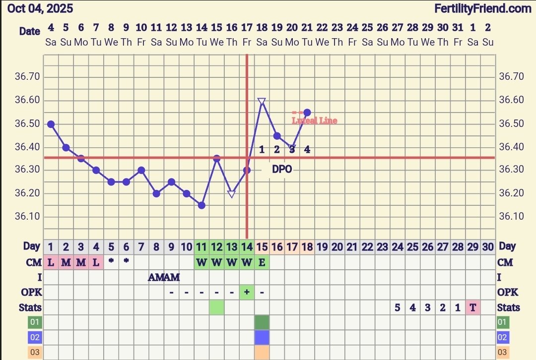 Screenshot_20251021_191805_FF App.jpg