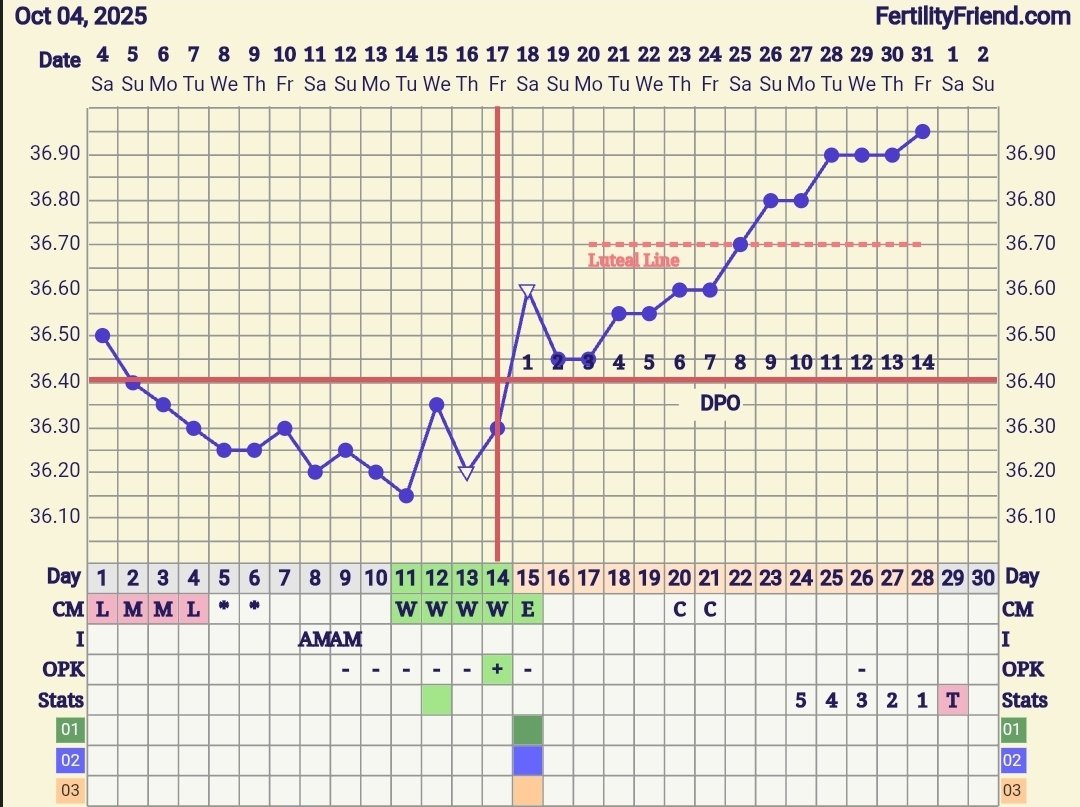 Screenshot_20251031_064831_FF App.jpg