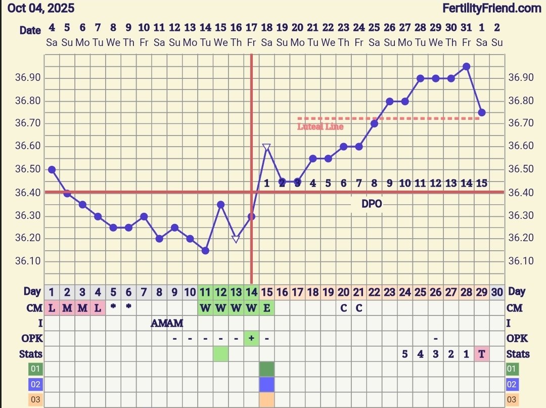 Screenshot_20251101_134248_FF App.jpg