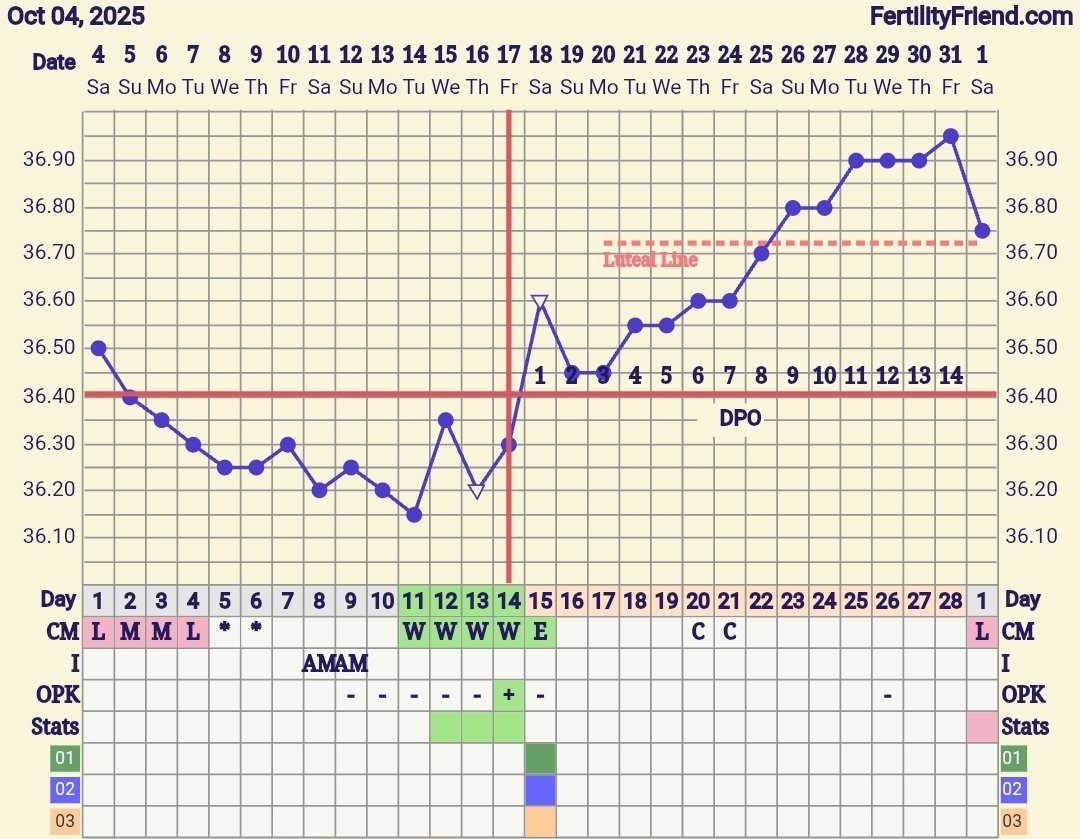 Screenshot_20251114_174252_FF App.jpg