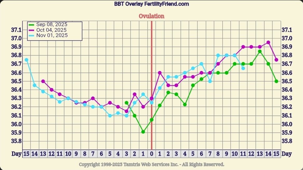 Screenshot_20251127_081719_FF App.jpg