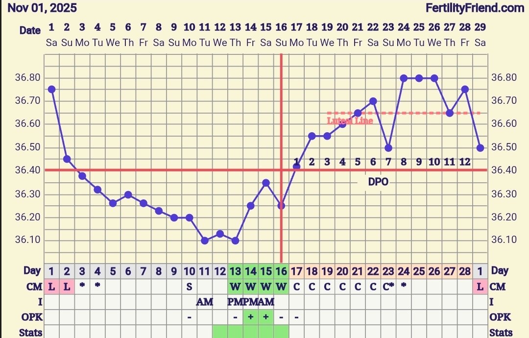 Screenshot_20251215_150035_FF App.jpg