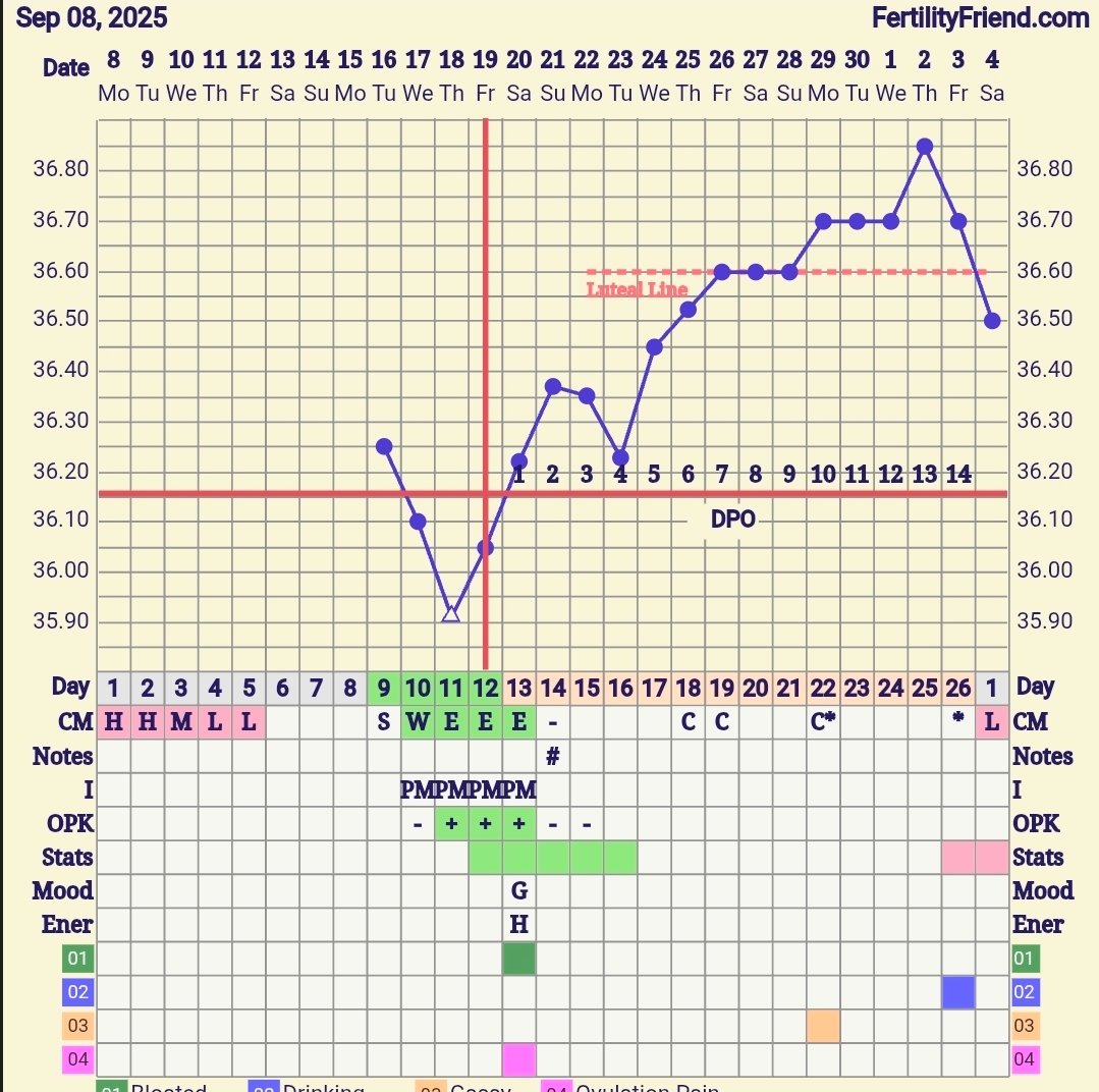 Screenshot_20251226_081934_FF App.jpg