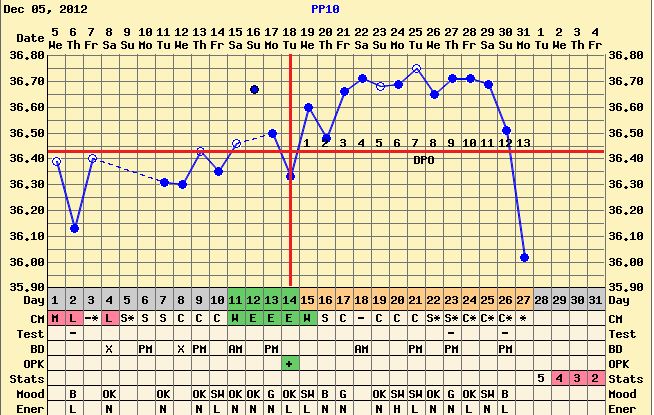 temp 13 dpo 10pp.JPG