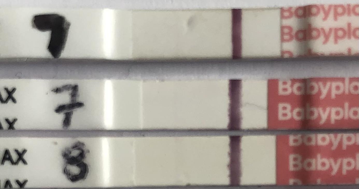 test7dpo.jpg