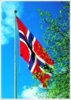 norske-flagg-heist-for-borgerpartiet1.jpg