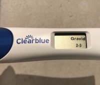 265F15ED-72A3-4ACA-9A52-8366DF26D5B3.jpeg 265F15ED-72A3-4ACA-9A52-8366DF26D5B3.jpeg