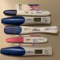 9531B909-A29E-4117-A91E-DD121AF9EBD9.jpeg 9531B909-A29E-4117-A91E-DD121AF9EBD9.jpeg