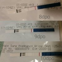 2019-09-06 20.37.00.jpg