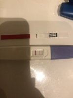 82884D59-743B-40F6-8565-871C2BCEA271.jpeg 82884D59-743B-40F6-8565-871C2BCEA271.jpeg