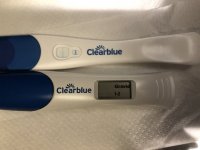 9D44E54C-90BB-439C-9524-6C7370618767.jpeg 9D44E54C-90BB-439C-9524-6C7370618767.jpeg