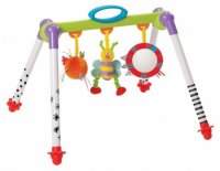 78865_Babygym_med_leker___Taf_Toys_1.jpg