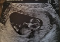 IMG_20200131_120349.jpg IMG_20200131_120349.jpg