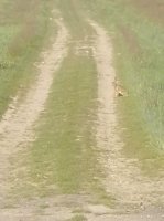 IMG_20200517_073424.jpg IMG_20200517_073424.jpg