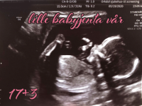 babyenvår.png