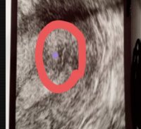 20210125_135823.jpg 20210125_135823.jpg