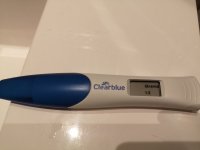 IMG_20210131_064018.jpg IMG_20210131_064018.jpg