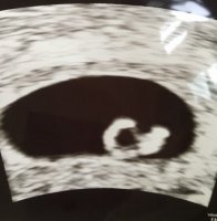 80B89555-60F4-44DC-8FAB-CB578768615C.jpeg 80B89555-60F4-44DC-8FAB-CB578768615C.jpeg