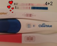 20210209_081522.jpg 20210209_081522.jpg