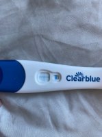 98C98662-89AC-40C4-9552-B2E80F31864E.jpeg 98C98662-89AC-40C4-9552-B2E80F31864E.jpeg