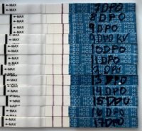 16EE159E-3A91-4A1E-9FC3-35B01C4083CC.jpeg 16EE159E-3A91-4A1E-9FC3-35B01C4083CC.jpeg