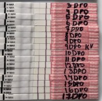 84A45C99-393D-410B-BEE3-6414501C28EA.jpeg 84A45C99-393D-410B-BEE3-6414501C28EA.jpeg