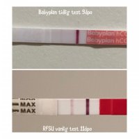 upload_2021-2-21_9-51-48.jpeg upload_2021-2-21_9-51-48.jpeg